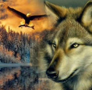 Diamond Painting Wolf und Adler